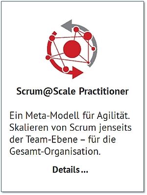 Ein Meta-Modell für Agilität. Skalieren von Scrum jenseits der Team-Ebene – für die Gesamt-Organisation